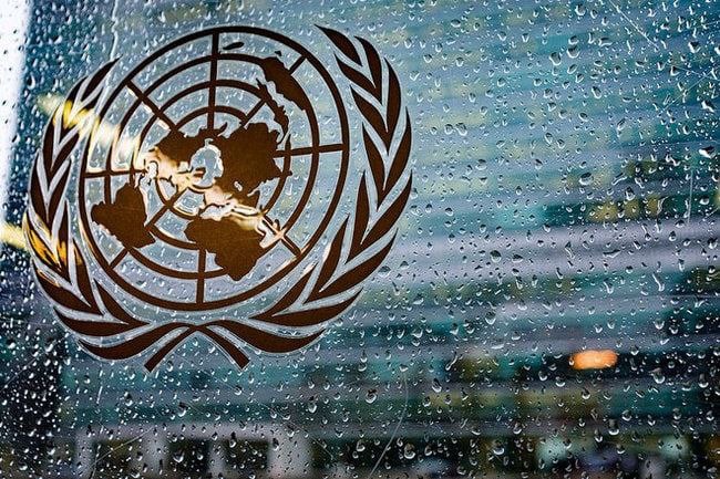 Organizzazione delle Nazioni Unite ONU